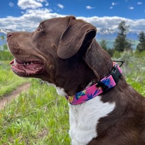 Meet your Posher, Craig